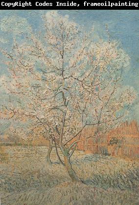 Vincent Van Gogh Peach Tree in Blossom (nn040